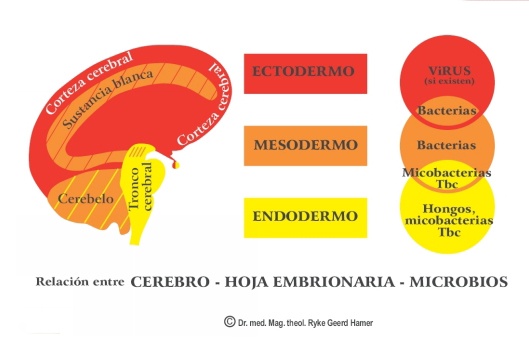 Cerebro y microbios