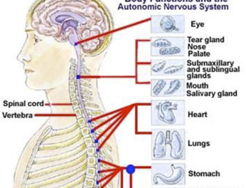 Tratamiento del dolor cervical o dolor de cuello – Motec