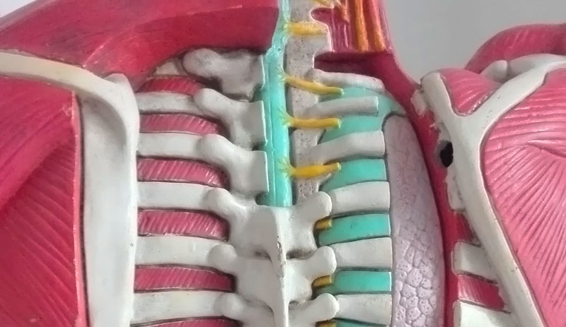 tratamiento de la contractura muscular