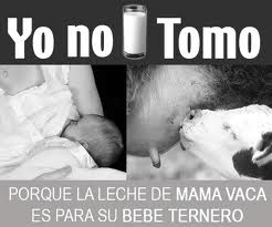 Yo no tomo leche